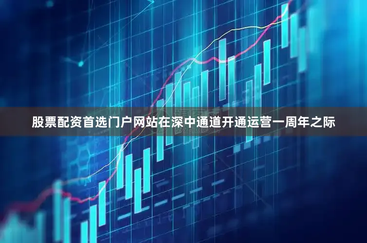 股票配资首选门户网站在深中通道开通运营一周年之际