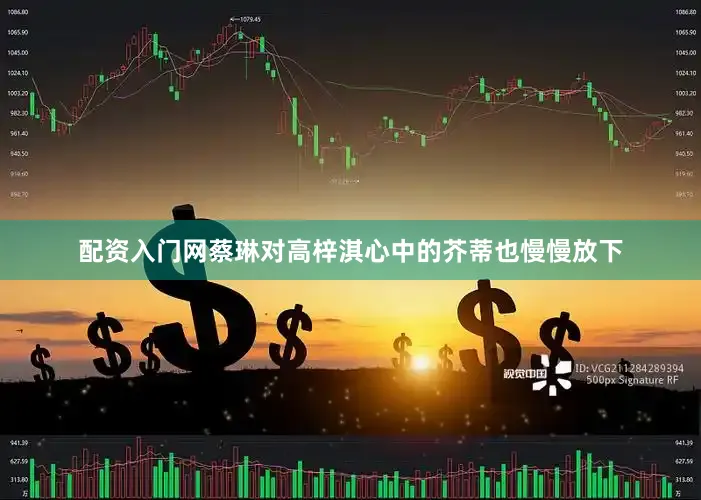 配资入门网蔡琳对高梓淇心中的芥蒂也慢慢放下